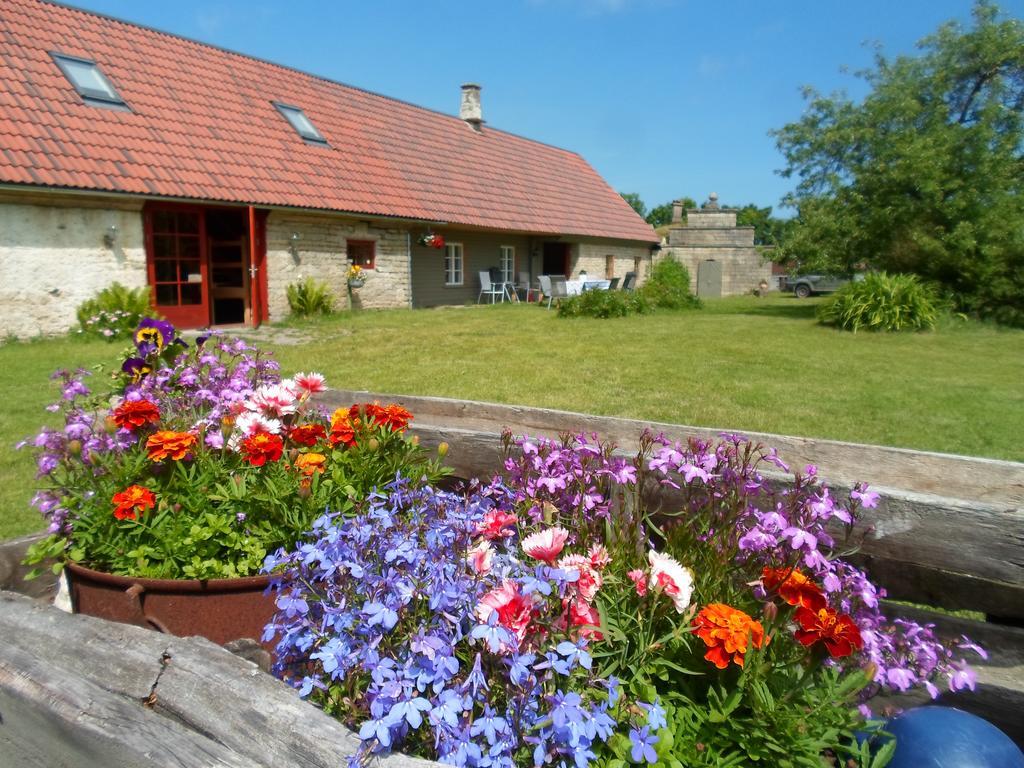 Ansumardi Farmstay Kavandi Ngoại thất bức ảnh