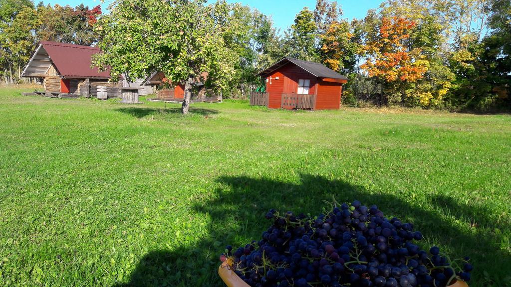 Ansumardi Farmstay Kavandi Ngoại thất bức ảnh